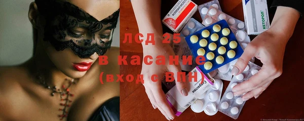 стаф Арсеньев