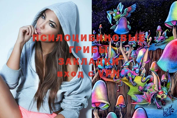 PSILOCYBIN Армянск
