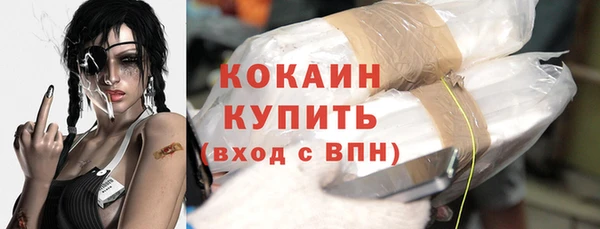стаф Арсеньев