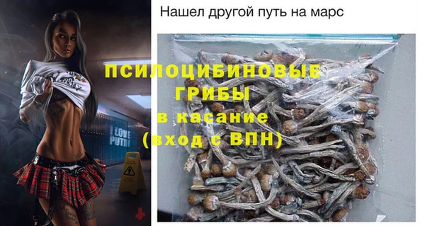 PSILOCYBIN Армянск