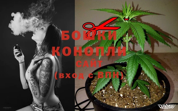 PSILOCYBIN Армянск