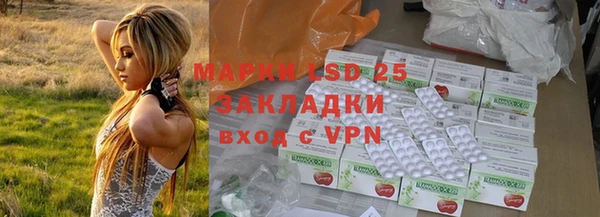 PSILOCYBIN Армянск