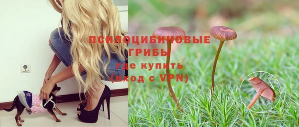 PSILOCYBIN Армянск