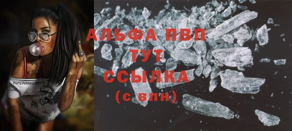 стаф Арсеньев