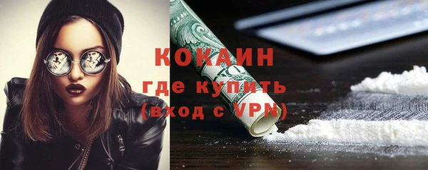 PSILOCYBIN Армянск