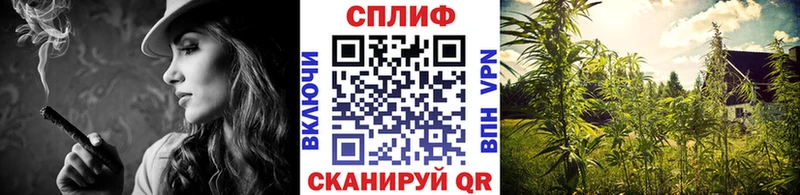 Каннабис индика  Зерноград 